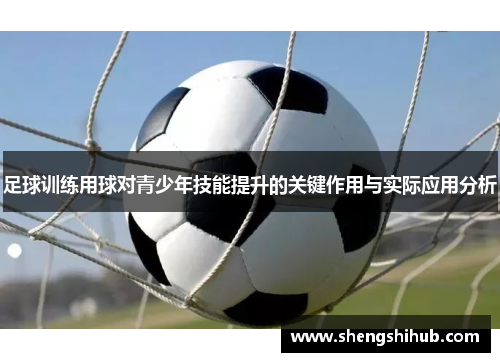足球训练用球对青少年技能提升的关键作用与实际应用分析